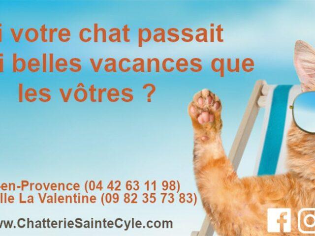 Chatterie Sainte Cycle